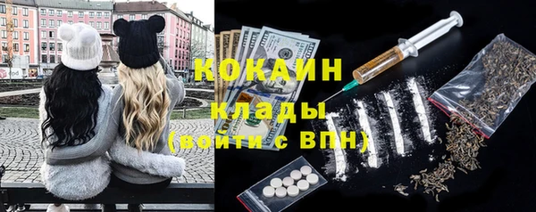 сатива Касимов