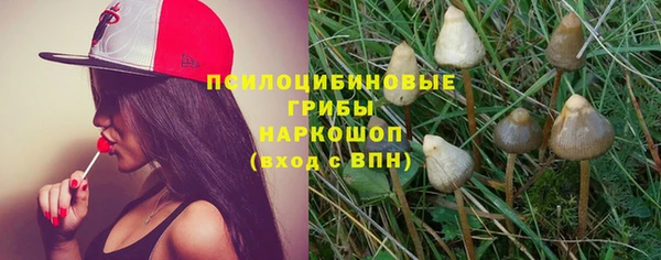 сатива Касимов