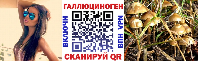 Галлюциногенные грибы прущие грибы  закладки  Мостовской 